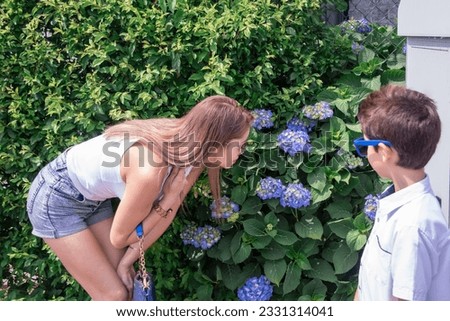 a young mother with her son are looking at a blooming hydrangea in the park