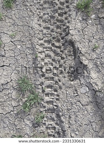 dirt bike wheel marks in the mud