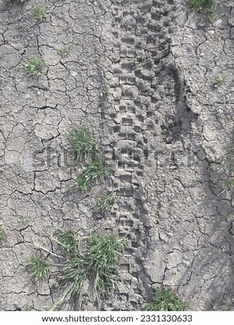 dirt bike wheel marks in the mud