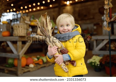 Glad boy holding colorful ears of indian corn at the seasonal agricultural fair. Market on pumpkin farm. Traditional autumn vegetables for food or decoration. Royalty-Free Stock Photo #2331336073