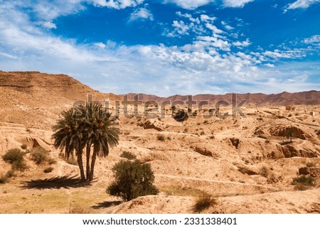 Landscape photography of Sahara desert hills with sand dunes and palm tree, vegetation and blue sky. View of expanses of sandy desert summer sunny day, Sahara, Tozeur, Tunisia, Africa. Copy text space Royalty-Free Stock Photo #2331338401
