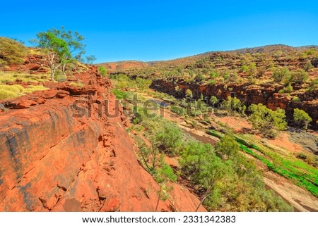 Panoramic views of ancient forest of Red Cabbage Palm in Palm Valley along Arankaia Walk. Finke Gorge National Park in Northern Territory, Central Australia, Outback desert Safari. Royalty-Free Stock Photo #2331342383