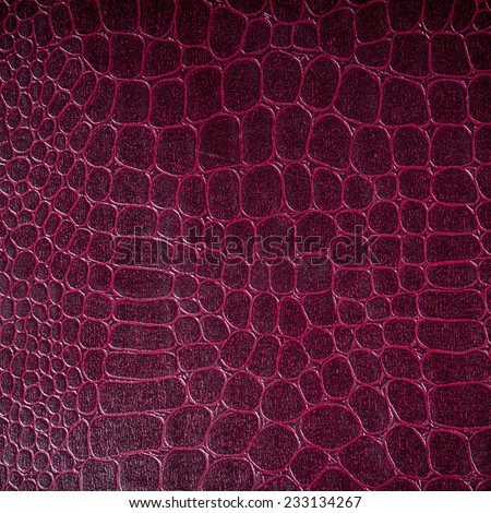 Crocodile leather with colorful background