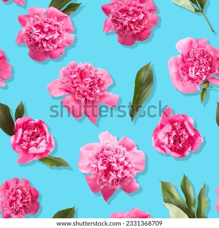 Seamless pattern of pink peony flowers on turquoise blue color background Royalty-Free Stock Photo #2331368709