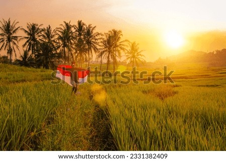 Photo of an Asian country boy holding an Indonesian flag in a rice field while running, natural sunset optical flair Royalty-Free Stock Photo #2331382409