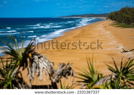 panorama of beautiful long beach with orange sand in deepwater national park south from agnes water and seventeen seventy; unique coast of gladstone region in queensland, australia;	 Royalty-Free Stock Photo #2331387337