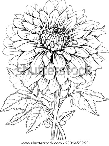 Flower Coloring Page, Flower Line Art Vector