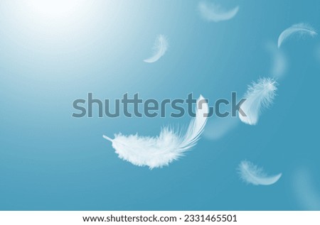 Abstract White Bird Feathers Falling in The Sky. Feathers Floating in Heavenly.	
 Royalty-Free Stock Photo #2331465501