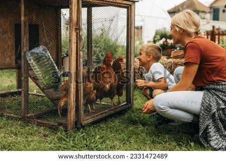 Happy boy crouching in front of a chicken coop and looking at chickens with his mother. Royalty-Free Stock Photo #2331472489