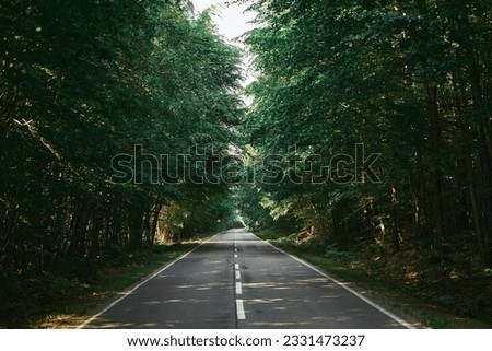 Landscape with empty asphalt road through woods in summer. Beautiful rural asphalt road scenery. Beautiful roadway. Trees with green foliage and sunny sky.