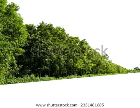 View of a High definition Treeline isolated on a white background Royalty-Free Stock Photo #2331481685