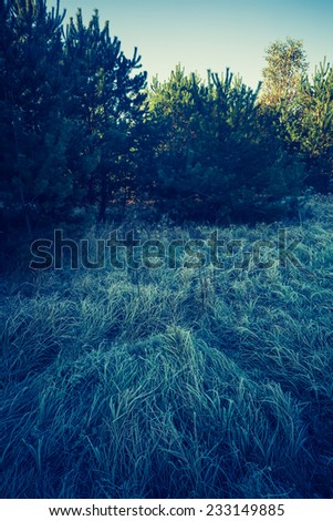 vintage photo of frosty field
