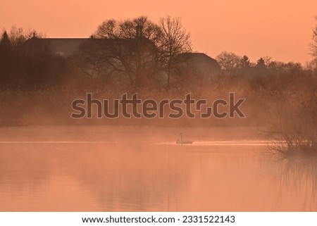 Misty sunrise in the bird sanctuary NSG Garstadt near Heidenfeld, Schweinfurt, Franconia, Bavaria, Germany