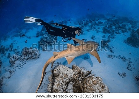 Scuba Diving with School of Nurse Shark on its habitat in Central Maldives