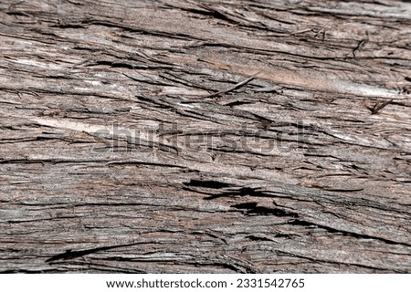 Woody trunk texture of juniper tree. Royalty-Free Stock Photo #2331542765