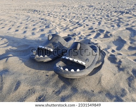 PANGANDARAN, INDONESIA - JULY 14 th,  2023: Black sandals in the shape of a shark on the beach sand