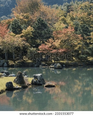 Japan Autumn river landscape. Forest river in autumn nature.