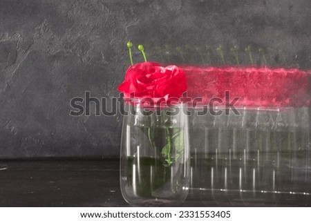 Red rose flower in motion blur against black background. Long exposure concept. Copy space. 