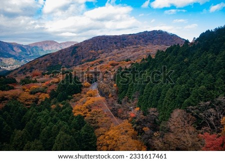 autumn landscape in Hakone Japan, driveway over the hills