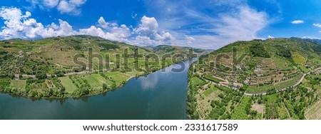 Aerial view of the beautiful vineyards of the Douro River Royalty-Free Stock Photo #2331617589