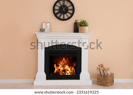 Stylish fireplace with potted plant and accessories indoors