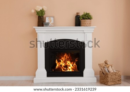 Stylish fireplace near potted plants and firewood indoors