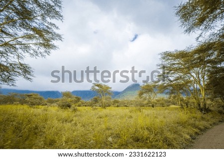 A Foggy Mountain in a safari game reserve 