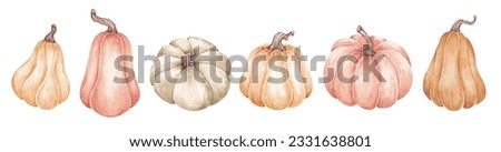 Watercolor pumpkins set. Hand painted. Isolated on white. Fall clipart for Halloween, Thanksgiving, harvest festivals