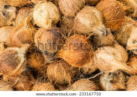 raw material from coconut