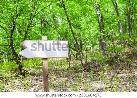 Empty informative hike track pointer amidst lush green trees at summer day in nature.