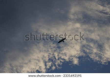 A Picture Of Beautiful clouds And A Flying Eagle