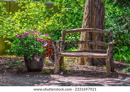 A wooden bench under a shade tree in the garden