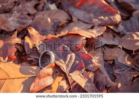 Wedding ring photo shoot concept with sun light and dry leaf background. The photo is suitable to use for wedding invitation photo background and wedding content media.