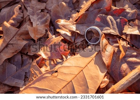 Wedding ring photo shoot concept with sun light and dry leaf background. The photo is suitable to use for wedding invitation photo background and wedding content media.