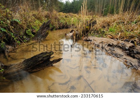 Forest rivulet with three stumps in winter with long exposure, Lithuania, Europe