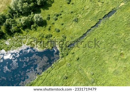 Drone-captured photo: Serene lake surrounded by green grass, clear sunny weather. Vibrant and tranquil summer landscape with reflective lake, adding depth and beauty to the scene.