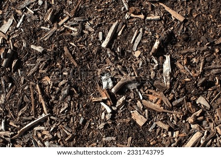 Texture of natural wood remains in the soil of patagonia argentina