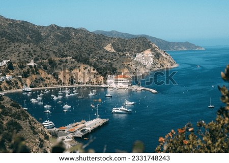 View of Catalina island during the summer Royalty-Free Stock Photo #2331748243