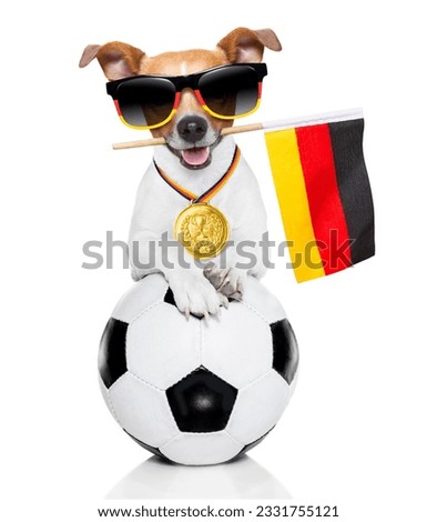 soccer jack russell dog playing with leather ball , isolated on white background and german flag wearing sunglasses