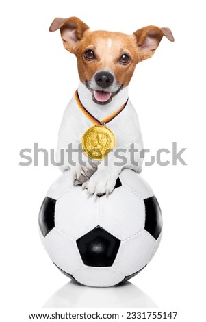 soccer jack russell dog playing with leather ball , isolated on white background and german flag