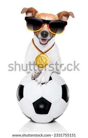 soccer jack russell dog playing with leather ball , isolated on white background and german flag wearing sunglasses