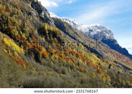 Mountain landscape in fall season -vibrant colours version-- west alps Italy