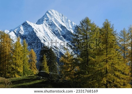 Mountain landscape in fall season -vibrant colours version-- west alps Italy