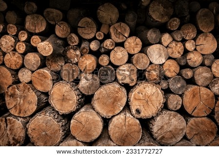 Background of firewoods stacked in pile close up