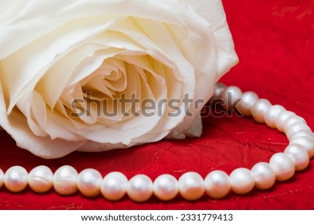 White rose and pearls on the red background