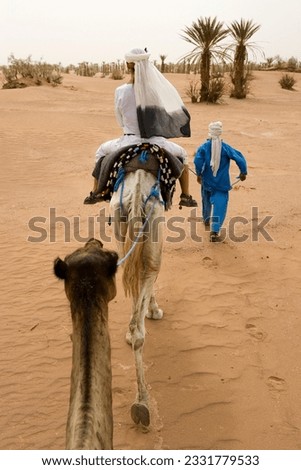 A camel trip through the Sahara desert, Morocco