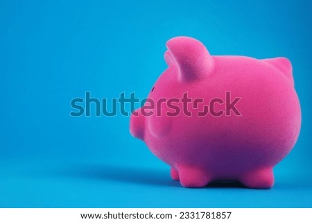 A piggy bank on a blue background.