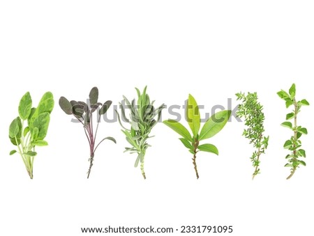 Organic leaf herb selection of variegated sage, purple sage, lavender, bay, common thyme and oregano, over white background. From left to right.