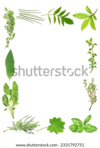 Herb leaf selection forming a border of lavender, sage, comfrey, common thyme, chives, valerian -vallium substitute- bay, oregano, silver thyme, basil, and ladies mantle. Starting bottom left on clock