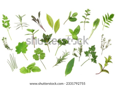 Herb leaf selection of parsley, lavender, sage, bay, mint, oregano, valerian, thyme, ladies, mantle, spearmint, rosemary, chives, lemon, balm, comfrey, basil. Over white background.